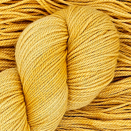 Mora's Mustard - Squishy Sport