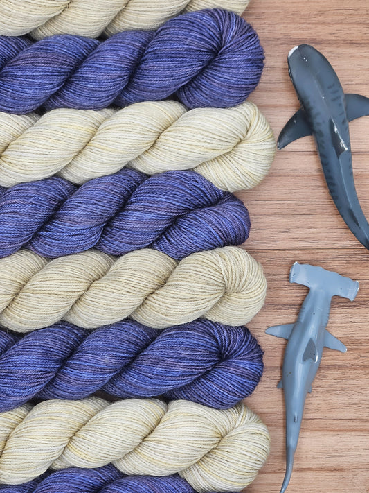 Shark Week - Sock Set