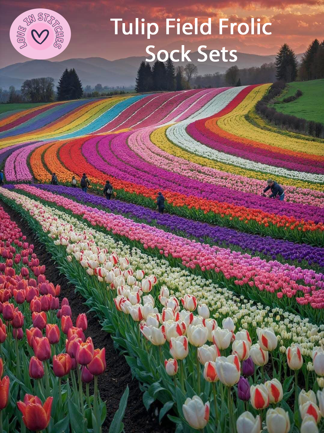 Tulip Fields Frolic self-striping (ready to ship)