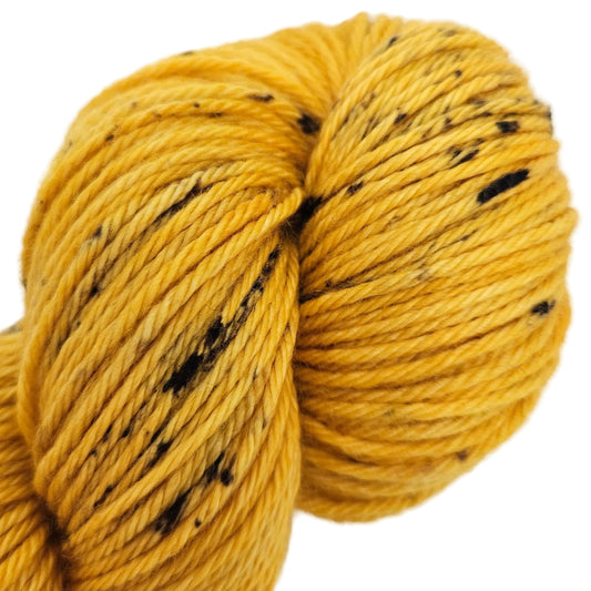 Black Eyed Susan - DTO